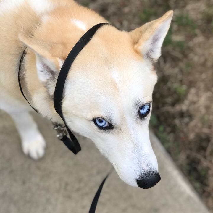 5660a6df 690f 4697 8917 5089637c676e 1518581203095