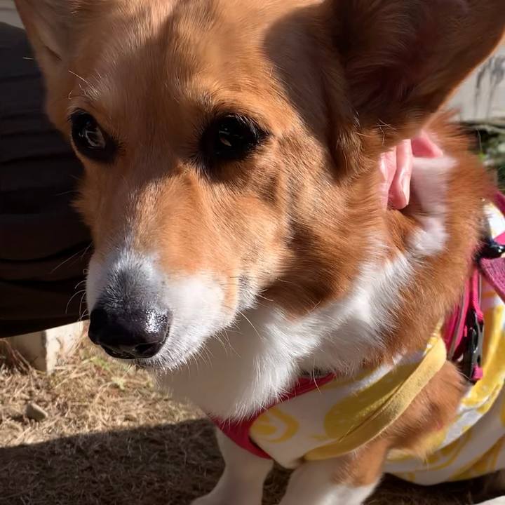 5660d4df 1265 4cac b279 0f41a2b4c76e 1674184232076