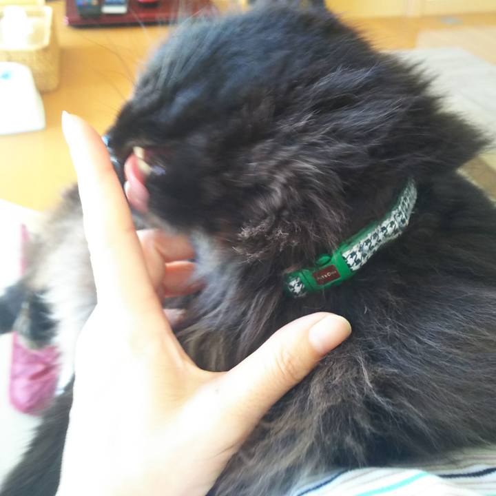 5660dc21 81d4 4a6d a711 529e8dd8e4b3 1569542190694