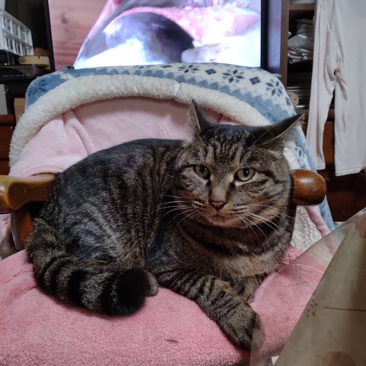 56611a77 26fa 4f8a baa1 b5459dbe0402 1672919615371