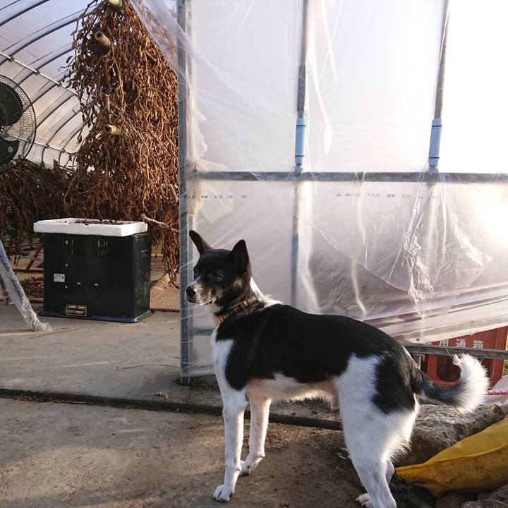 5661469f adee 4208 a315 b44b503d9b67 1576799557449