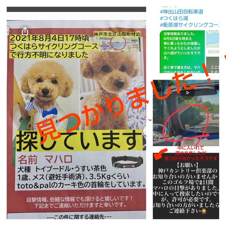 56614f4c d8c0 436a 9fcd a2746f416919 1628552930802