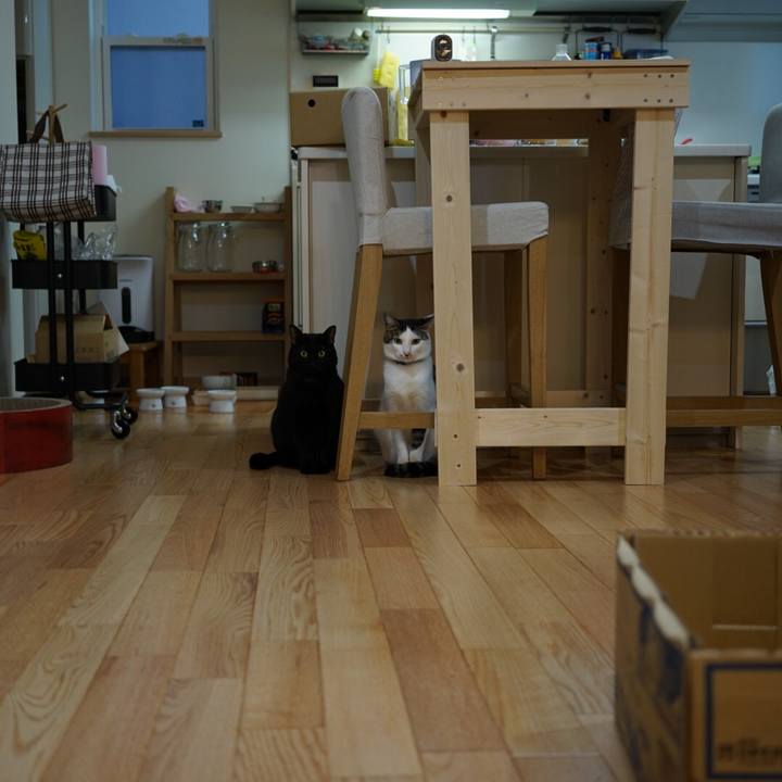 56617c64 2577 4e04 abd3 2f95082de3cc 1513121434961