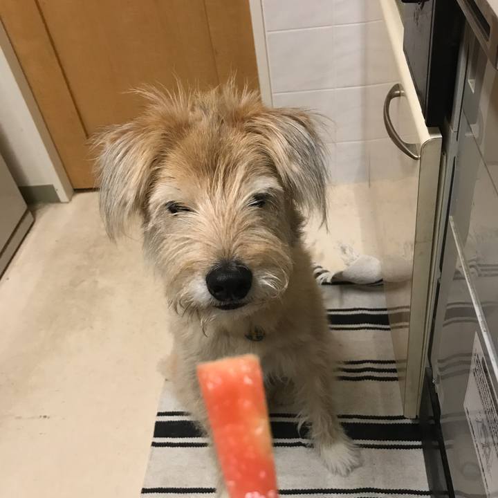 566186ec 2a7b 4fc7 9be1 606a065bc7ba 1532511937017