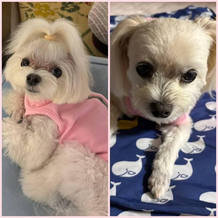 5661cdf8 c0a0 4318 8491 7747033b2cab 1756977039786