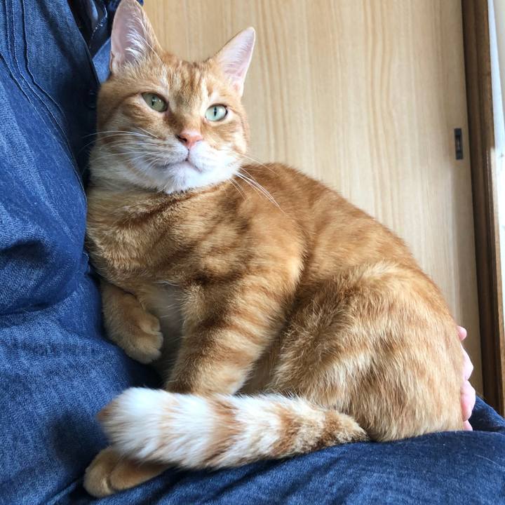 5661dcb9 33c7 4e50 b2fd b47da67fb17f 1619666849904