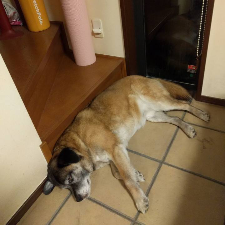 5661f0f7 4923 428c 8b0a 8136a6fea3cc 1724889256137