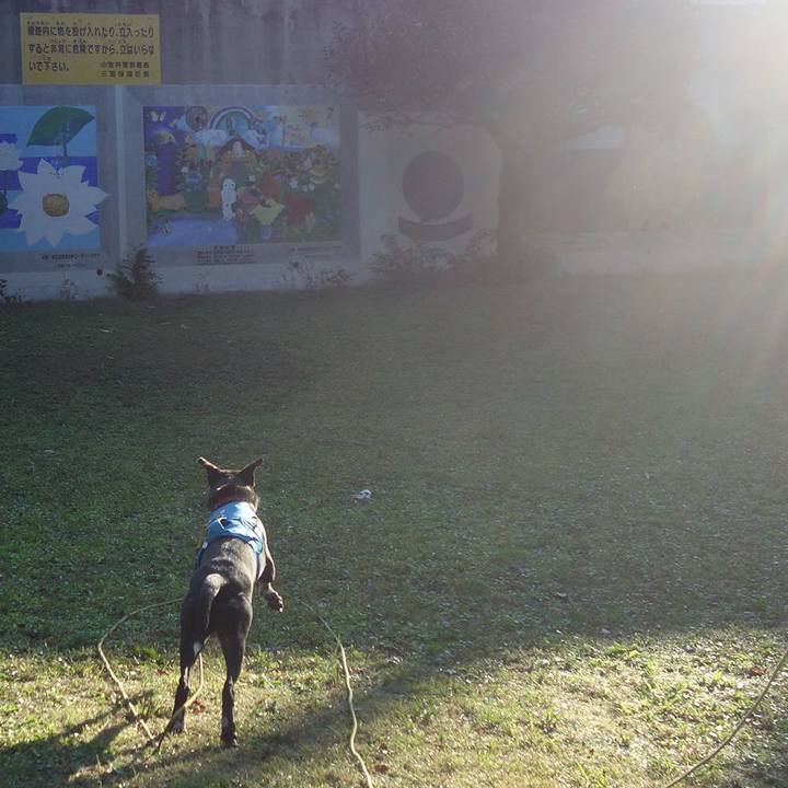 56620db1 96a5 4cc8 83a5 59ce0424afb2 1604533574714