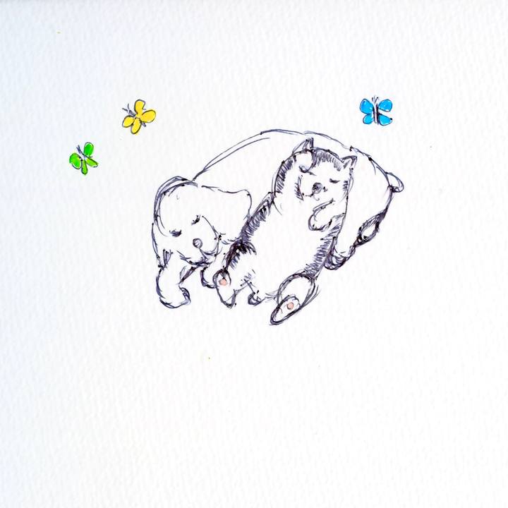 56621a7f c89e 4c23 8752 20e02429da88 1609425922025