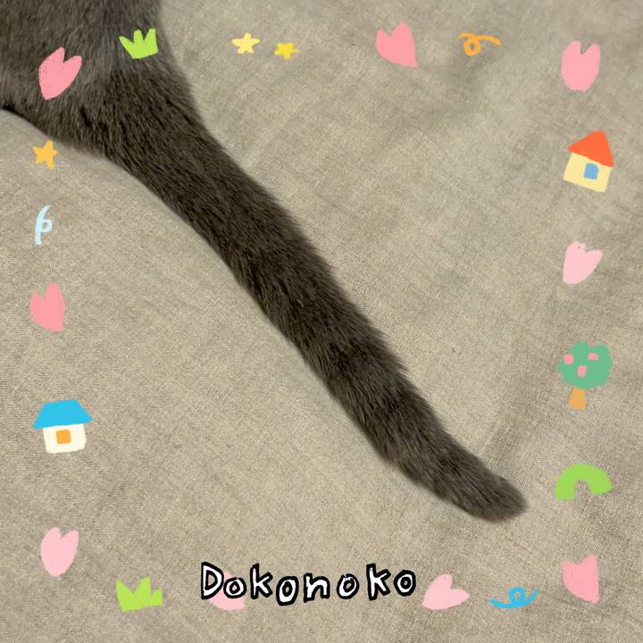 56622399 2742 4936 ae46 97d736beeef5 1741258955683