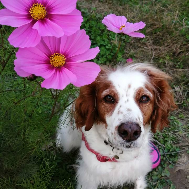 566261c5 ee38 4a09 aabe 426f43418436 1605783462100