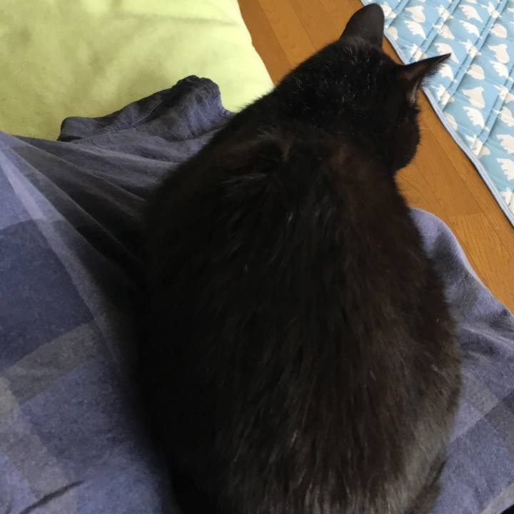 5662efcb b7d6 4a0c b08a 58c17e23aa9c 1533355529181