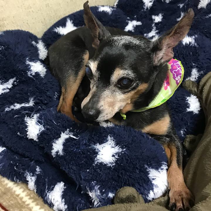 5662f079 1e43 4dbf abcc c20b74af2ab6 1558091726779