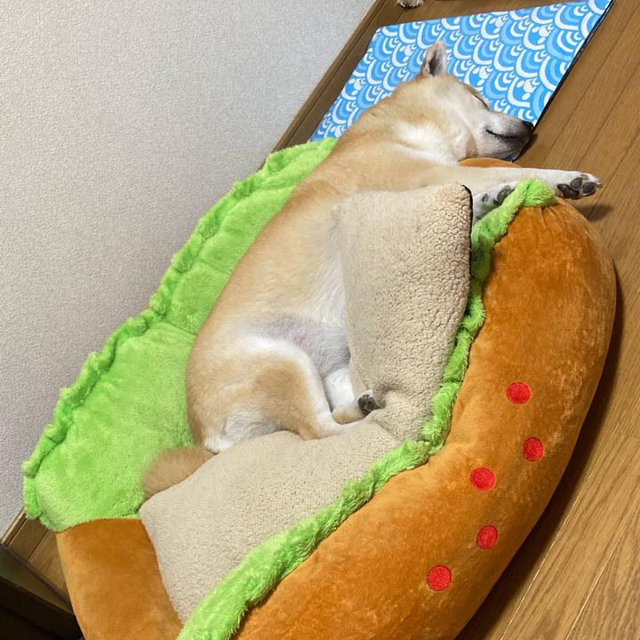 5662f9b5 31ad 4e44 80cf 30aa5500727a 1632889487924