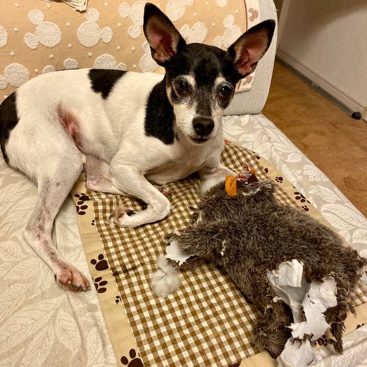 5662feec 3ffd 4812 b00c 162a3e15637a 1603840742852