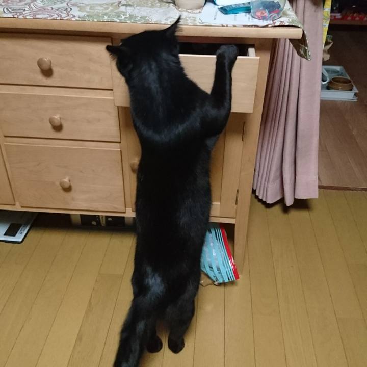 566318c5 1f14 4ce0 9514 42ea6298b25a 1525179865309