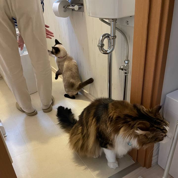 5663231b f448 439b 83f0 53a1e8a3411d 1714700202257