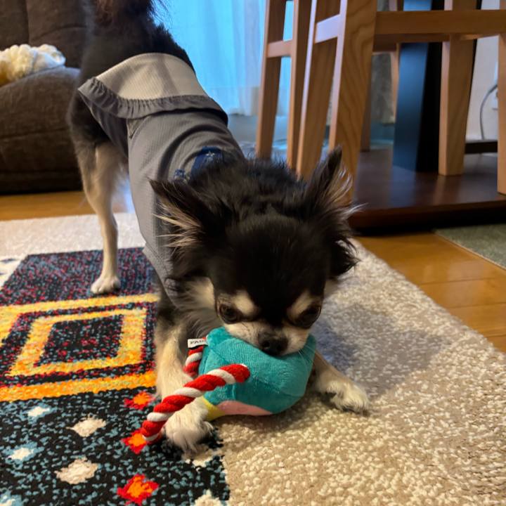 56634ac7 b72d 4329 8b64 5eac1b5ed90f 1728143781497