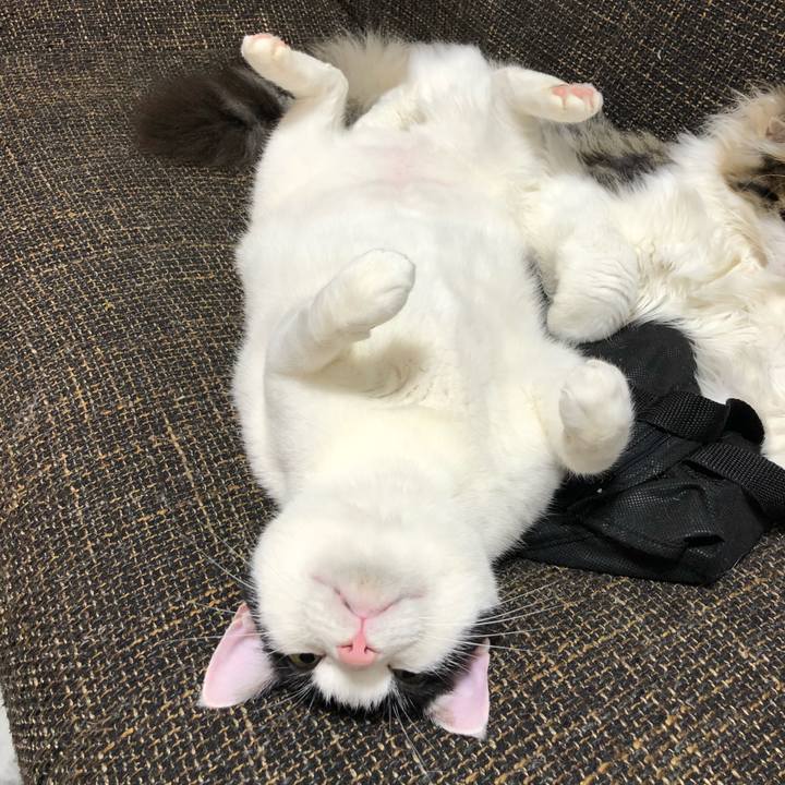 56635e9f acc5 427d 9428 93a47232f79d 1518833002326