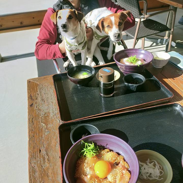 5663a383 6b49 4685 9683 77253780ac19 1768565260417