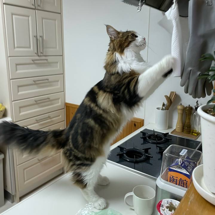 5663ab6d 998d 4f71 ad00 756a05530625 1643575985428