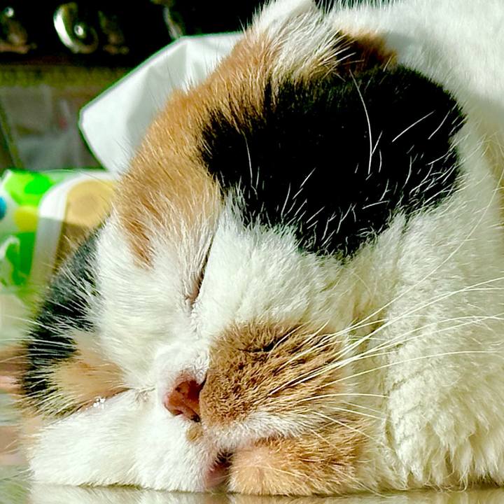 5663b808 280c 46b5 825d c6f9c624a5d8 1708236542533