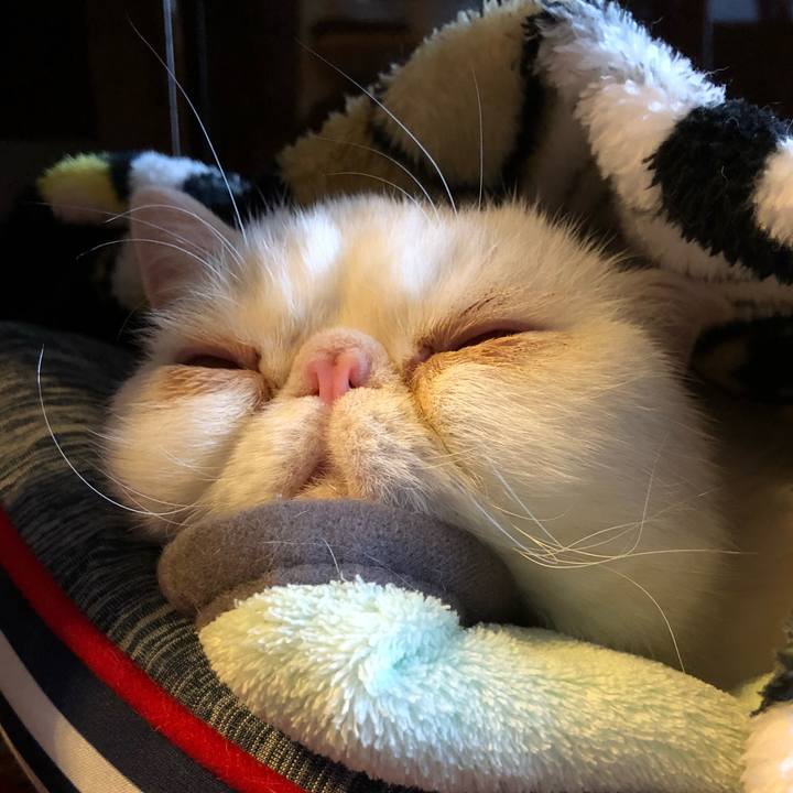 5663b9bb 4469 4796 8a7e 0ee4399f1a7b 1606111322737