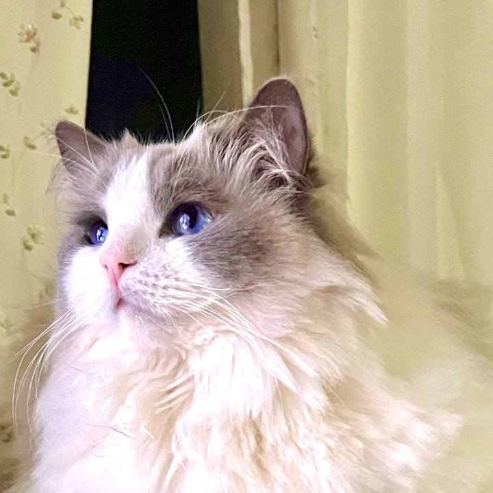 5663bff2 ca23 4c38 8adb dc52f67853a9 1743377938161