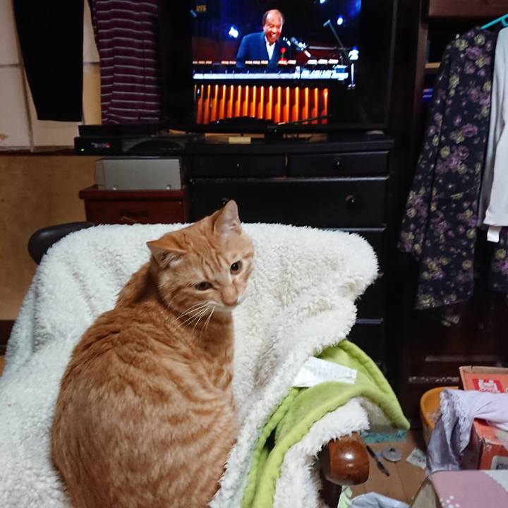 5663d84c 4c5f 488b b885 5ead5fe04508 1638964391630