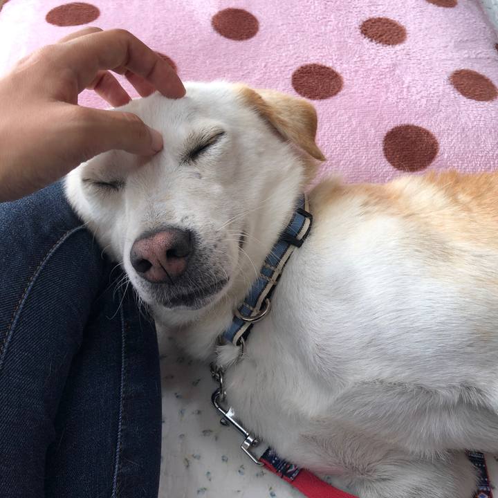 5663da98 ccad 4d48 a499 522681b3cbba 1623326008853