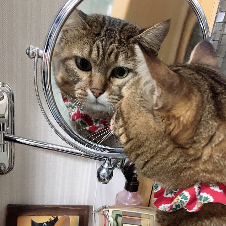 5663e7fa b303 403e 8cca 58ef0c4d19b2 1601718488630