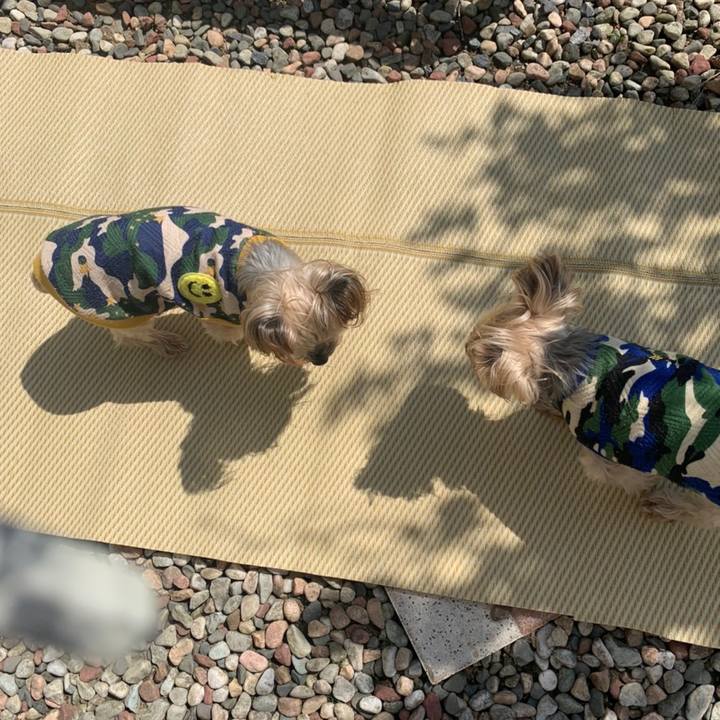 5663fad7 0bdd 475d 8393 926708ccd4a8 1654596013528