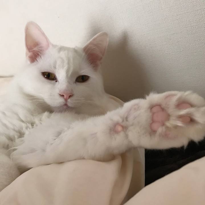 56640a89 9f60 40f7 b182 39d8332cc138 1518607940890