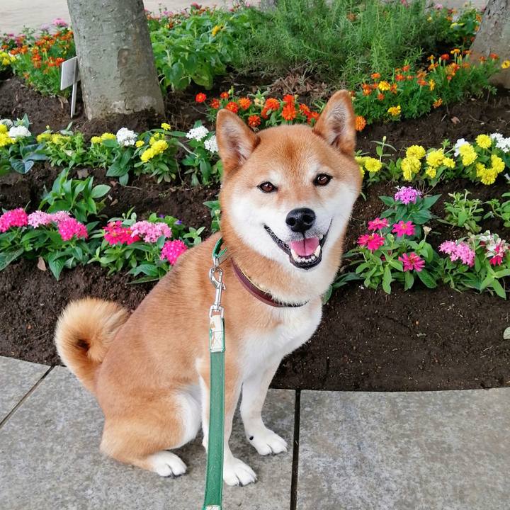 56641285 e617 402c a677 213d858d0b7a 1624234834089