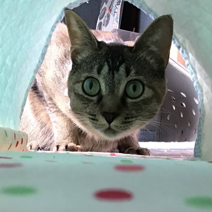 56641414 16d1 4a5b 880e e03a90e0b4f6 1593150810329