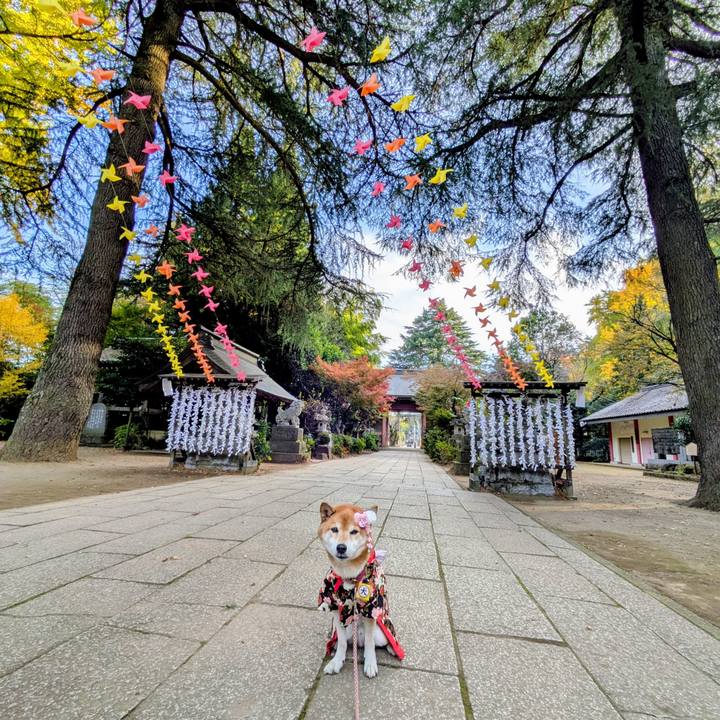 5664205f b7c2 4d9d a89a a1ece2b0ebad 1762997831964