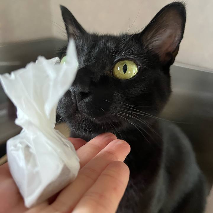 56642b3a 8bea 441c b1dc a305ebddef3f 1694651663981