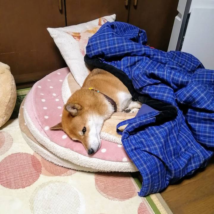 566483d1 dfbf 48a6 8817 94216cb2f642 1634738589223