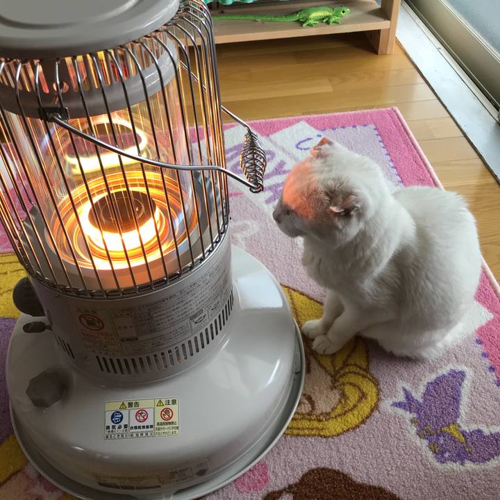 56648828 4d09 4d19 9525 bbb982e2a3d5 1516972623114