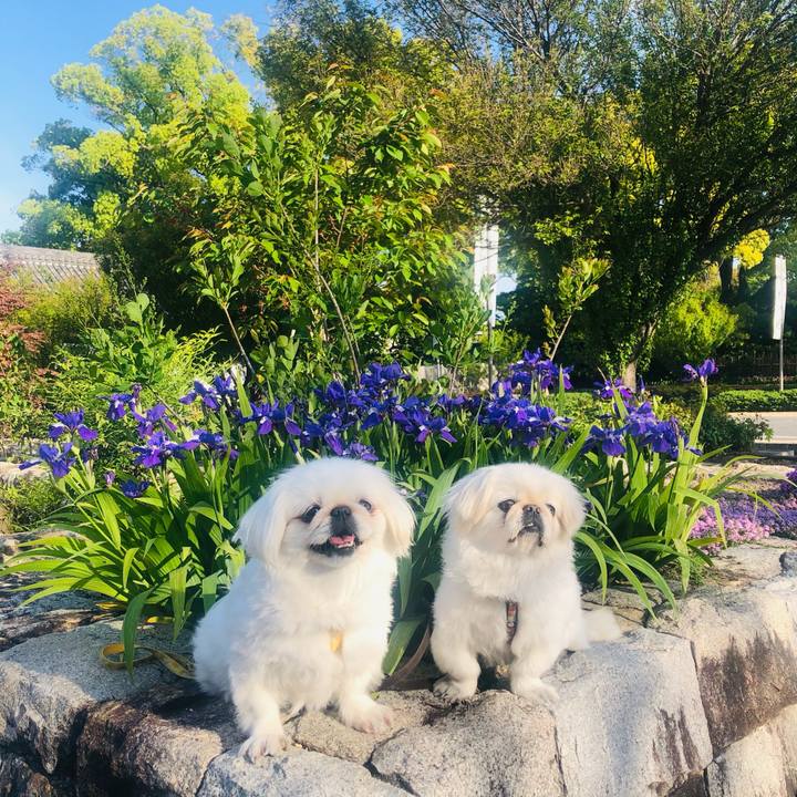 5664bbc5 73fb 43df 90a7 7cd0d1160340 1619051330630