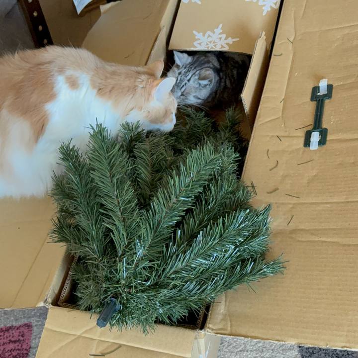 5664bf94 55ce 4b0e a87e 7c2c40dc30fd 1763955215832