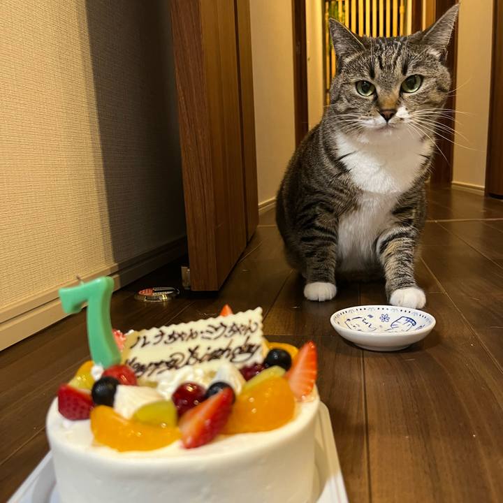 5664c9b0 e2f3 4f0f ab92 61f30166b8ce 1725716798797