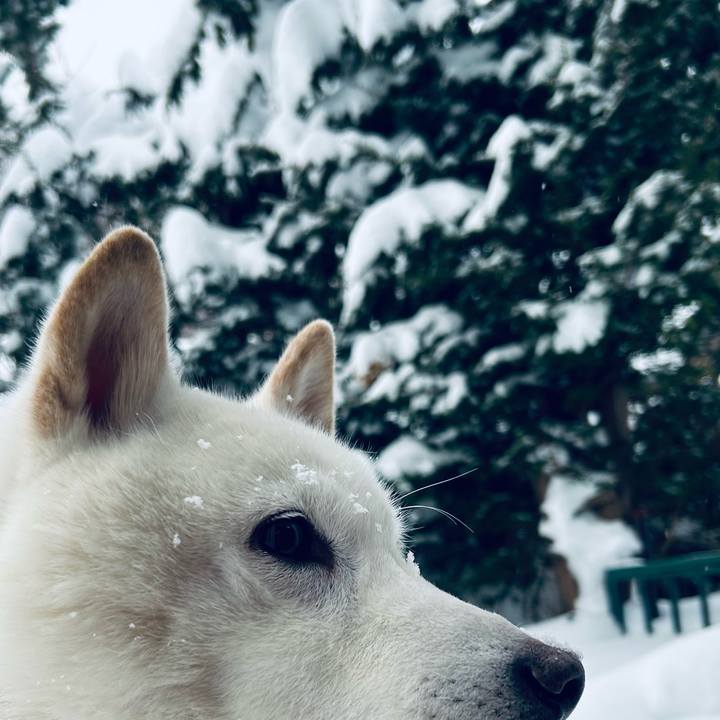 5664d8d7 a834 44f1 9e60 4ce8fade1400 1738280669667