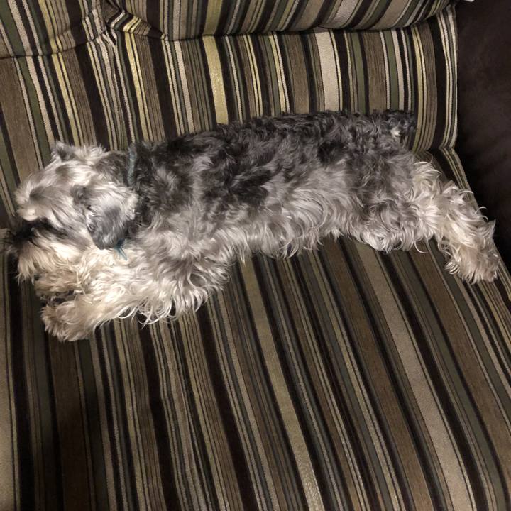 56652c4b a683 4777 94f5 665b2c84f7d1 1590403122158