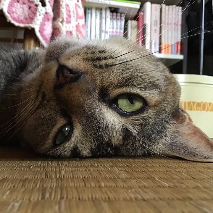 5665411a 095a 452d 8563 74b9e4320543 1597215668427