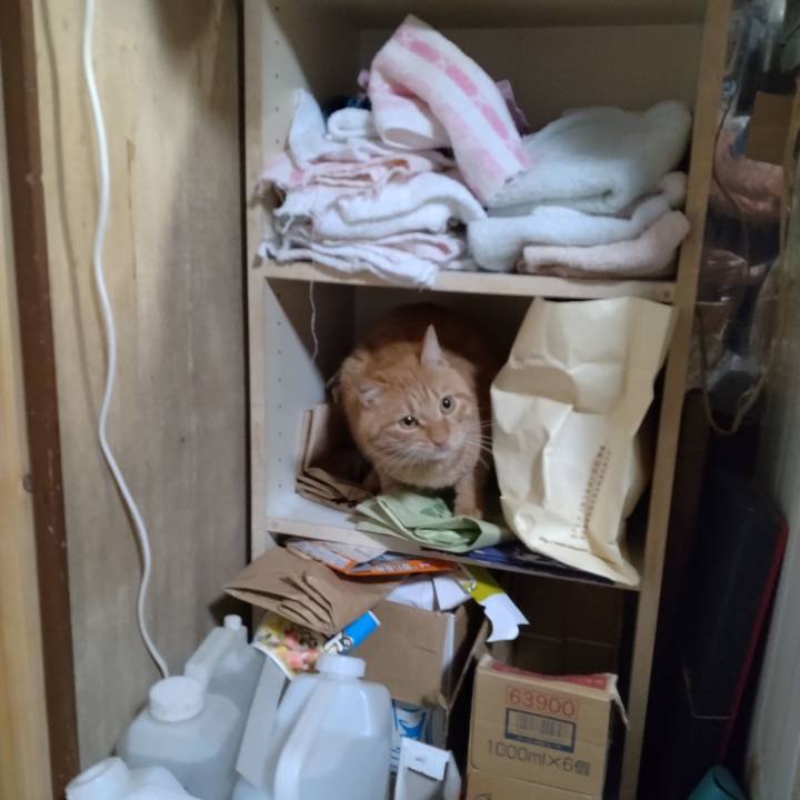 566590ba 1537 4c28 a201 4464153dc7f9 1670410260945