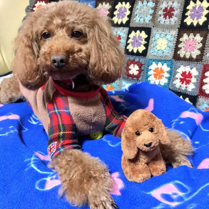 5665ab67 4f1c 4372 8a65 afc1707a2673 1519432420136