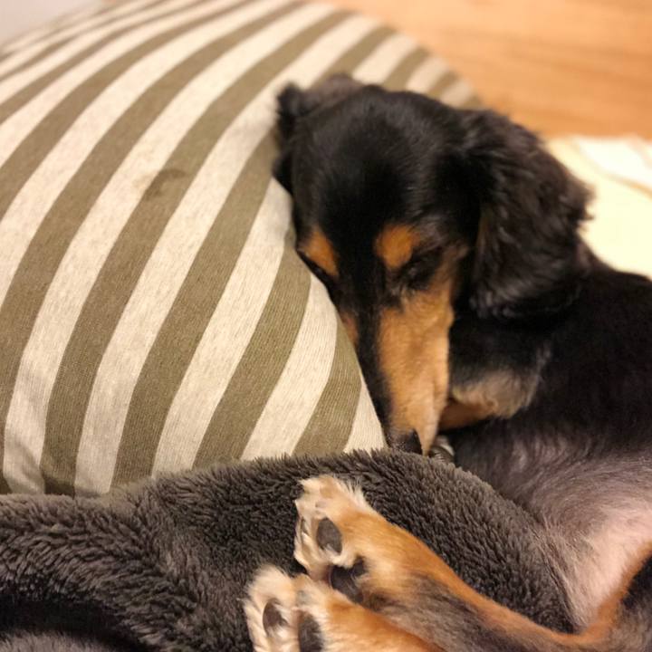 5665b7ad aff5 402d b72b f54d19a6d55f 1532440473350