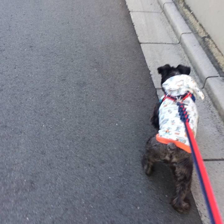 566620a8 66e4 4014 ac98 6d6428570c7f 1512861335809