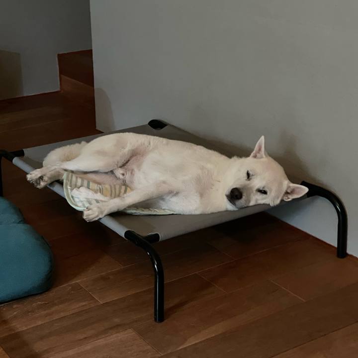 566623b4 04c5 487d 893a d448c56b1168 1721745042614